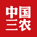 应用图标
